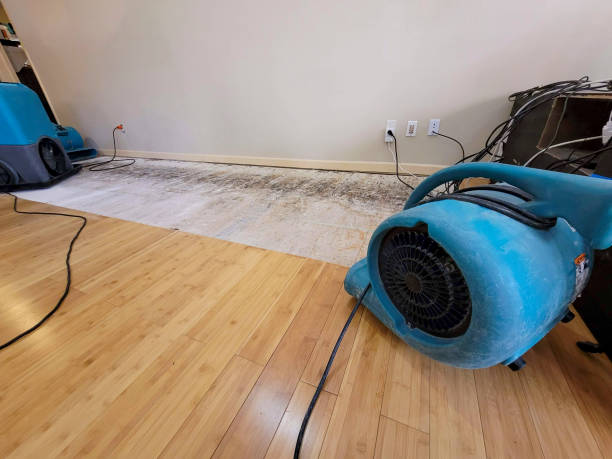 Professional Water Extraction technician working in Veradale, WA